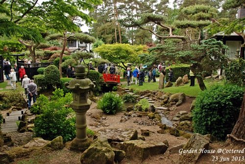 JPN Garden_012