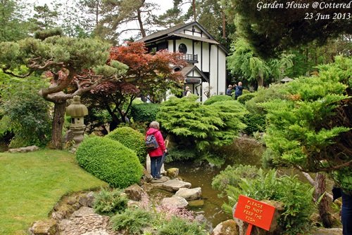 JPN Garden_011