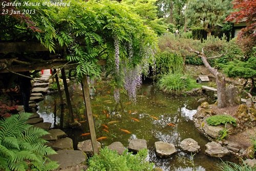 JPN Garden_010