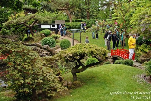 JPN Garden_008