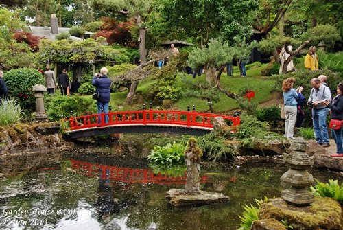 JPN Garden_005