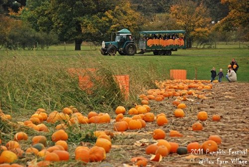 WillowFarm_007.JPG
