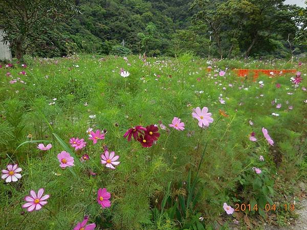 DSCN0849.JPG