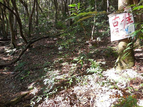 DSCN2885.JPG