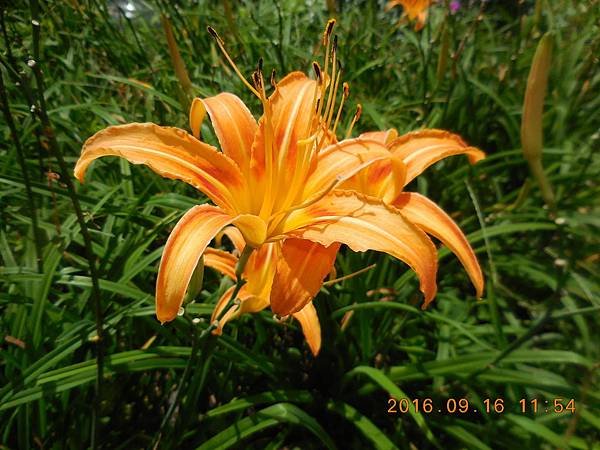 DSCN4927.JPG