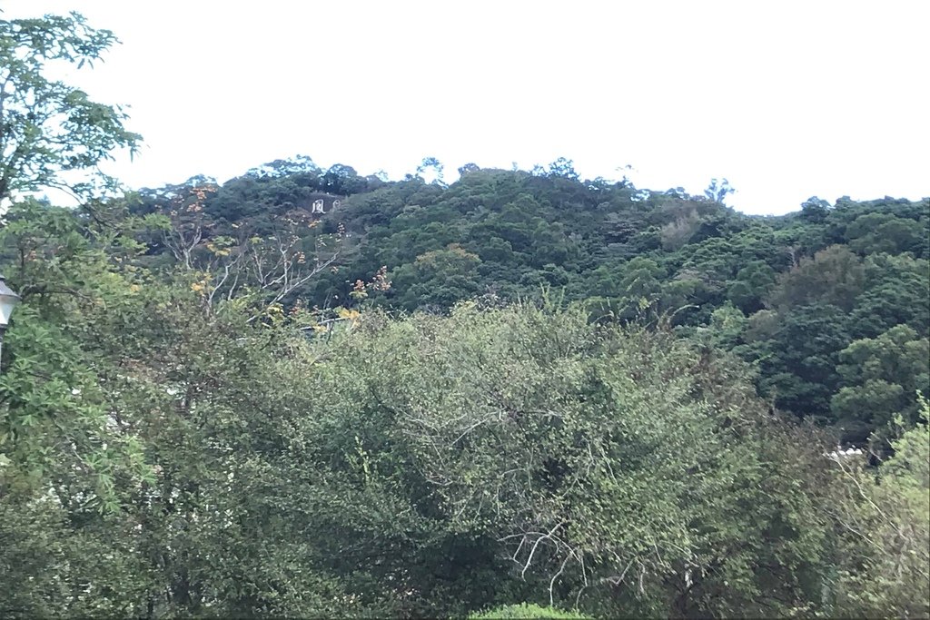 20210102_071700749_iOS.jpg