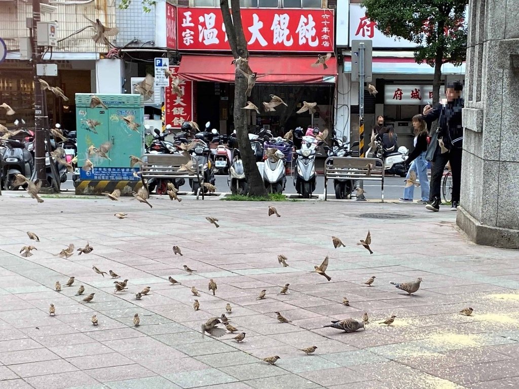 [台北景點] 台北天后宮.幸福堂西門町全球旗艦店