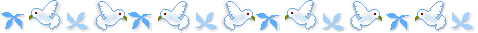 2005092108105079088_zNBq.gif