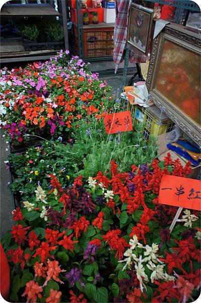 板橋花市