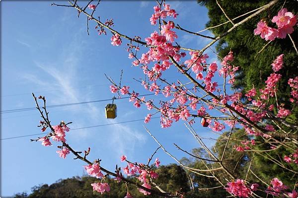 日月潭/文武廟