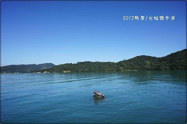 日月潭/水蛙頭步道