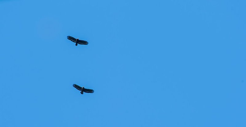 DSC_9629.JPG