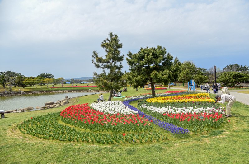 DSC_5958.jpg