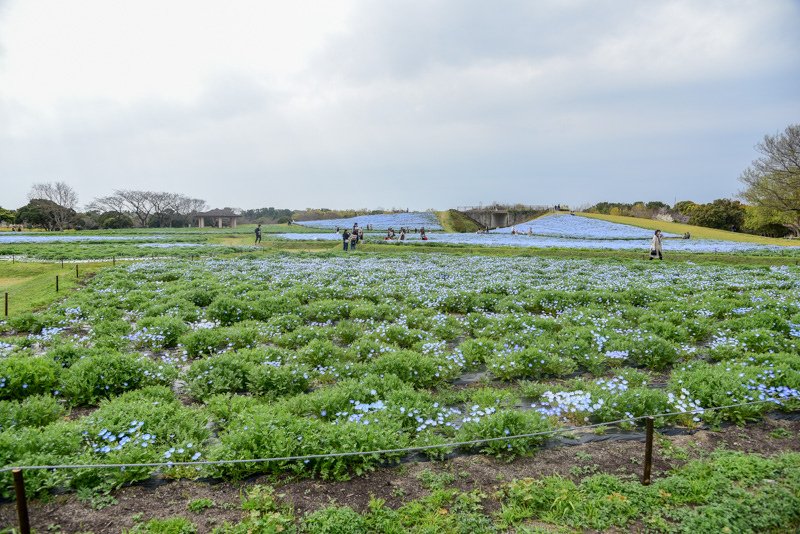 DSC_5967.jpg