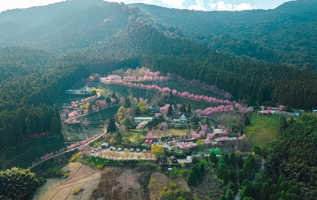 DJI_0010.jpg