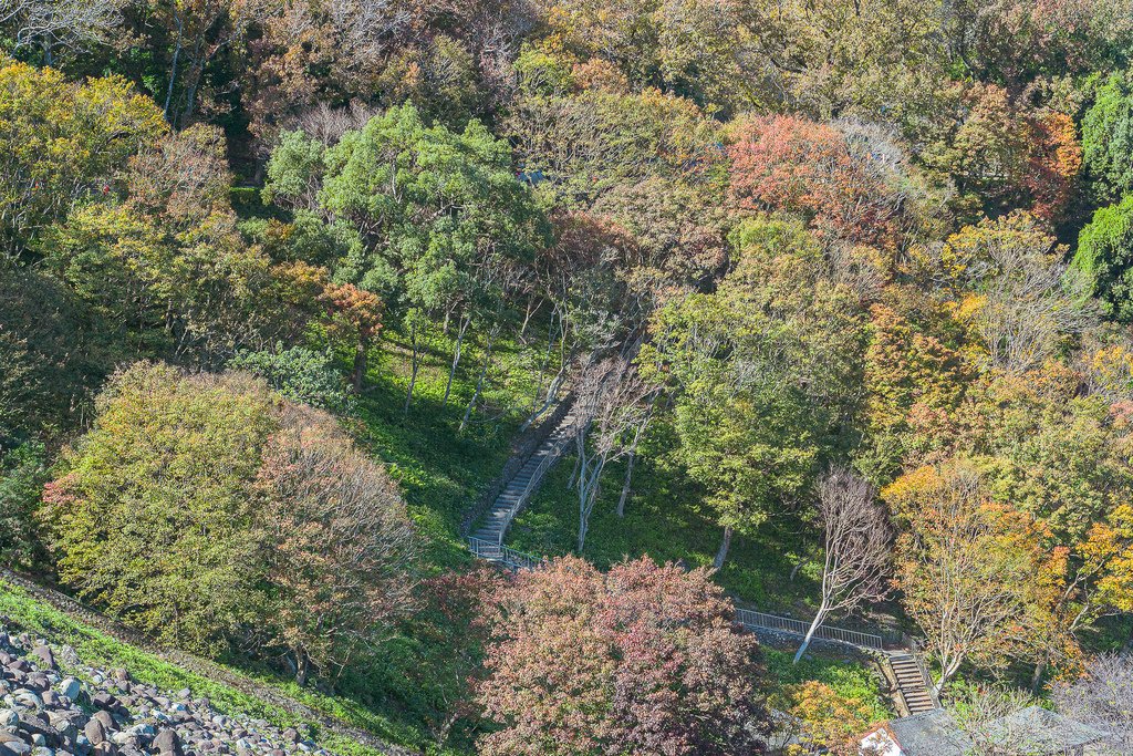 _DSC8986.jpg