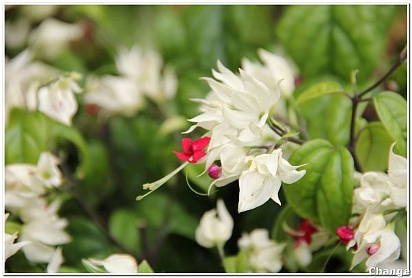 Image00033