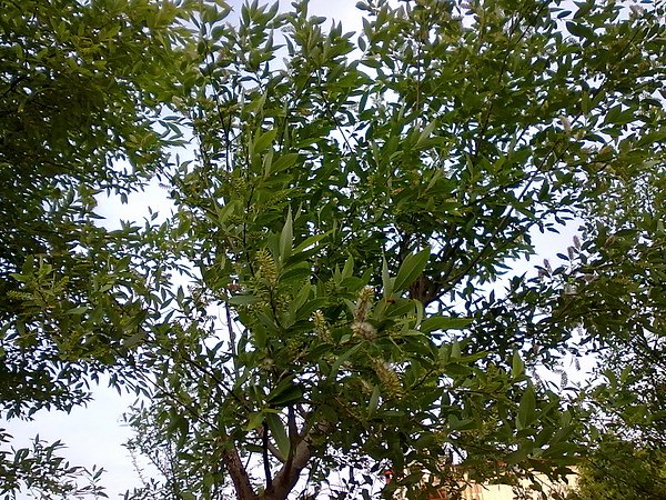 20110314545.jpg