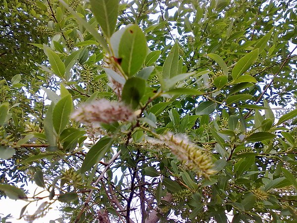 20110314543.jpg