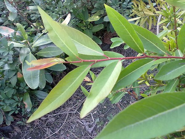 20110314547.jpg