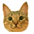 1189461101.gif