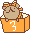 4936abd598d66.gif