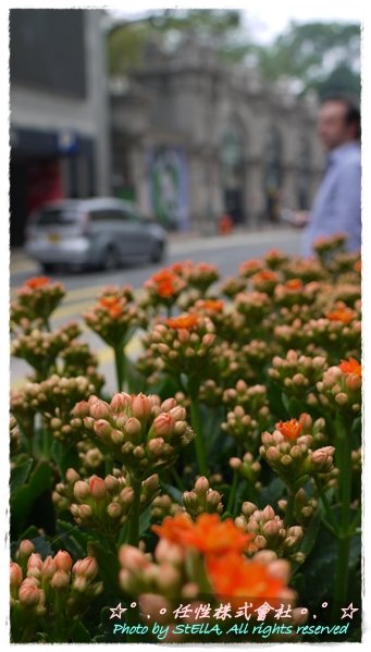 P1020166.JPG
