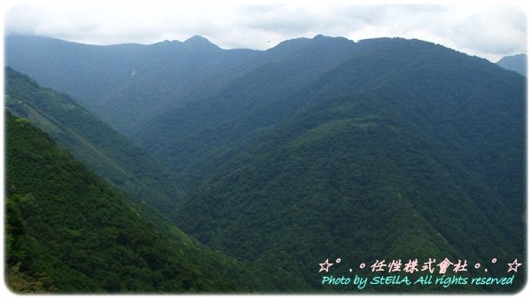 IMG_9019.JPG