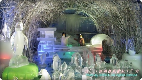 IMG_4578.JPG