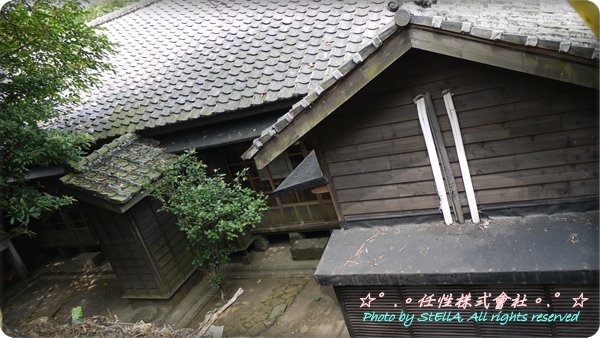 P1090694.JPG