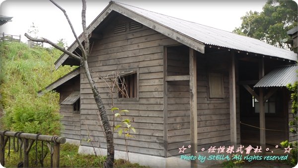 P1120137.JPG