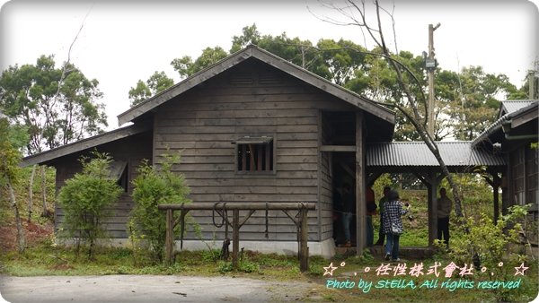 P1120200.JPG