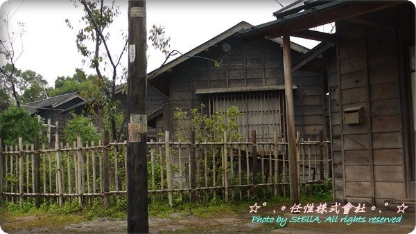 P1110728.JPG