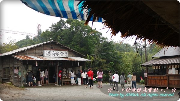 P1110836.JPG