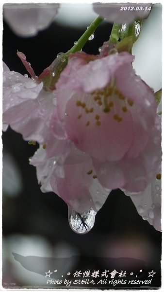 P1220821