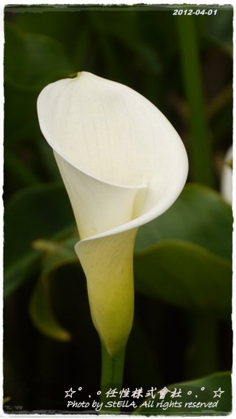 P1240703