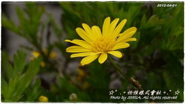 P1240720