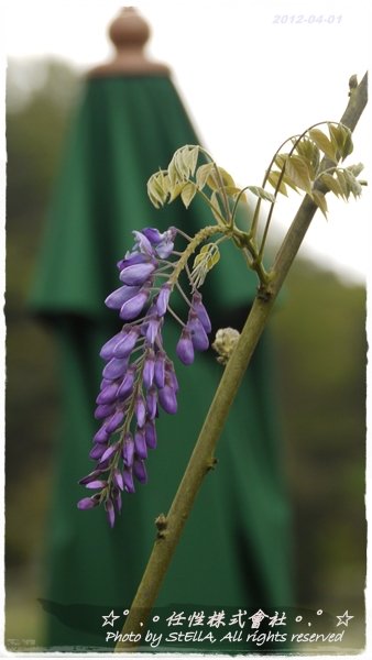 P1240803