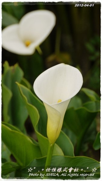 P1240857