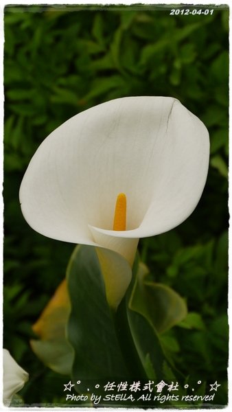 P1240873