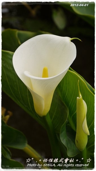 P1240924