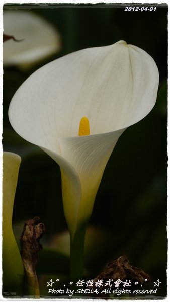 P1240934