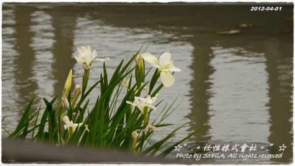 P1240939
