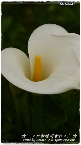 P1240953