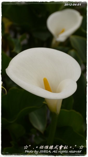 P1250020