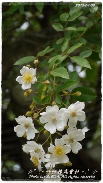 P1260152
