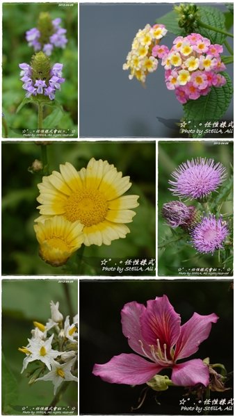 P1260201