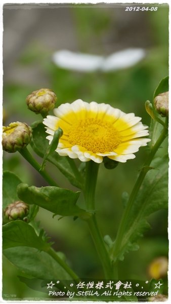P1260292