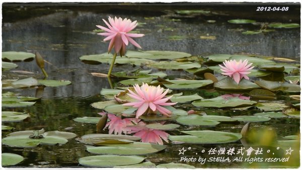 P1260306