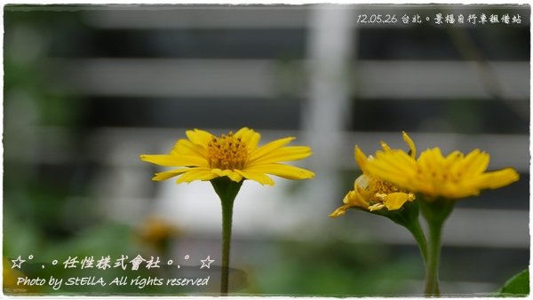 P1290205